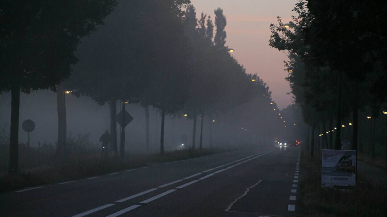 Dichte mist in Waalre woensdagochtend (foto: Stefan Bron /Hendriks Multimedia)