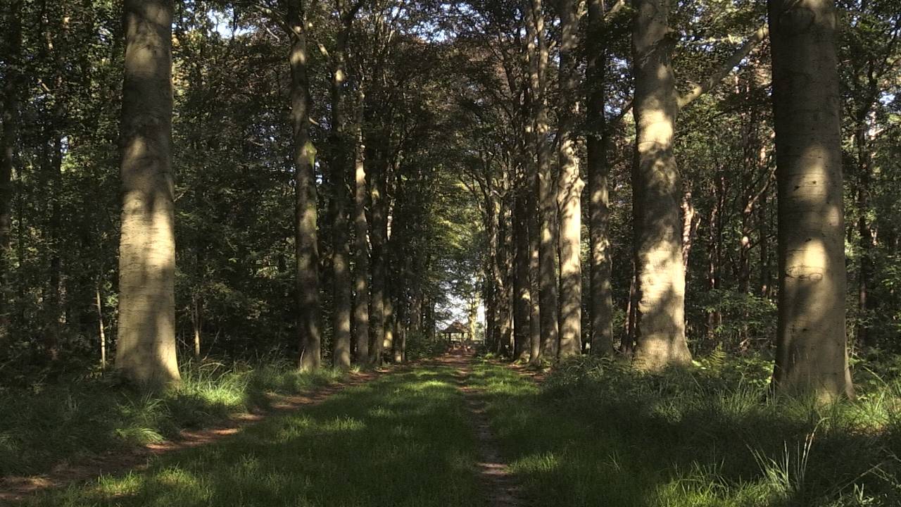 Ga naar slide 1