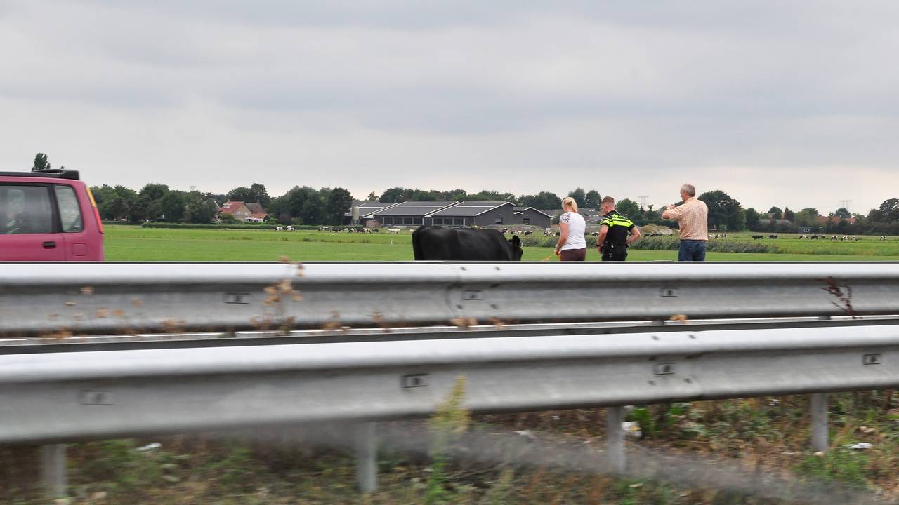 Ga naar slide 2