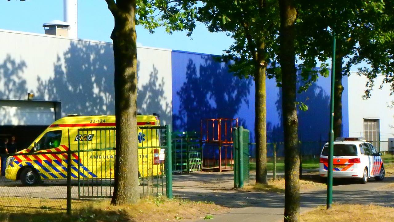 Foto: Danny van Schijndel (GinoPress)