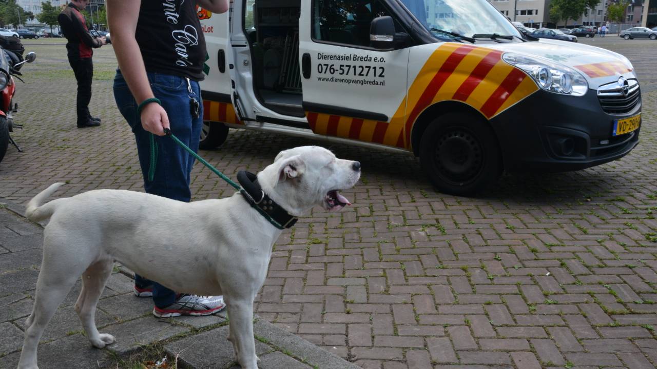 Foto: Perry Roovers (SQ Vision)