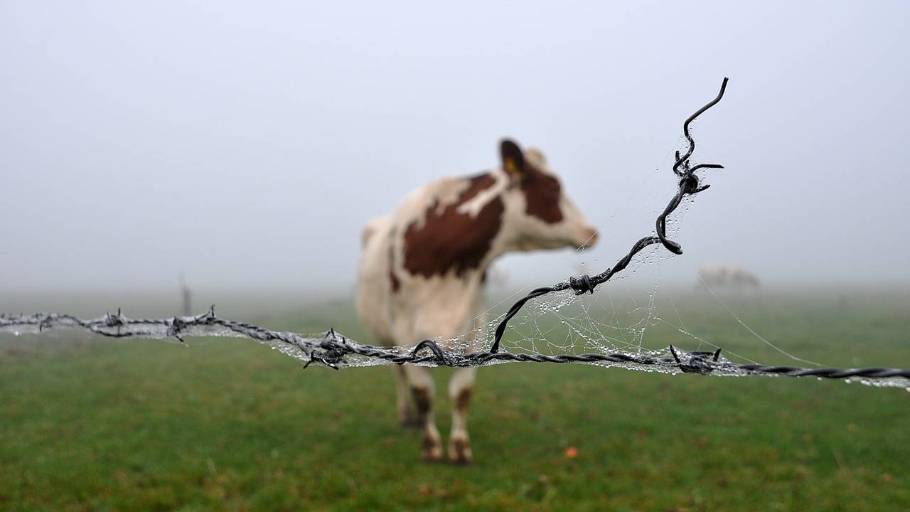 Mist trekt langzaam op, code geel ingetrokken Omroep Brabant