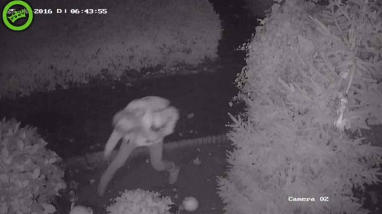 Een vrouw is er maandagnacht in de Haagse Beemden met Halloweenversiering vandoor gegaan.