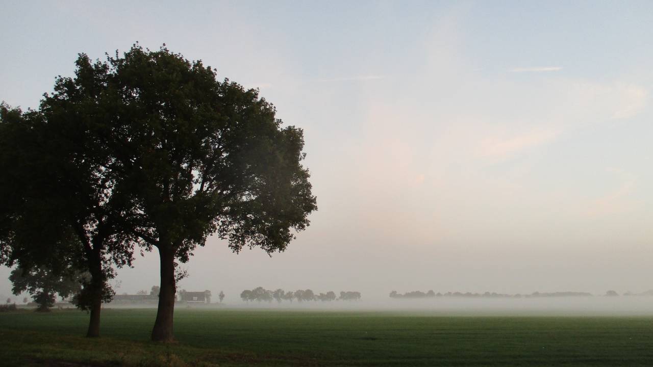Mist bij Rijen (foto: Joop van der Kaa).