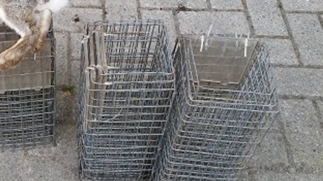 De kleine kooien bestemd voor schattige diertjes