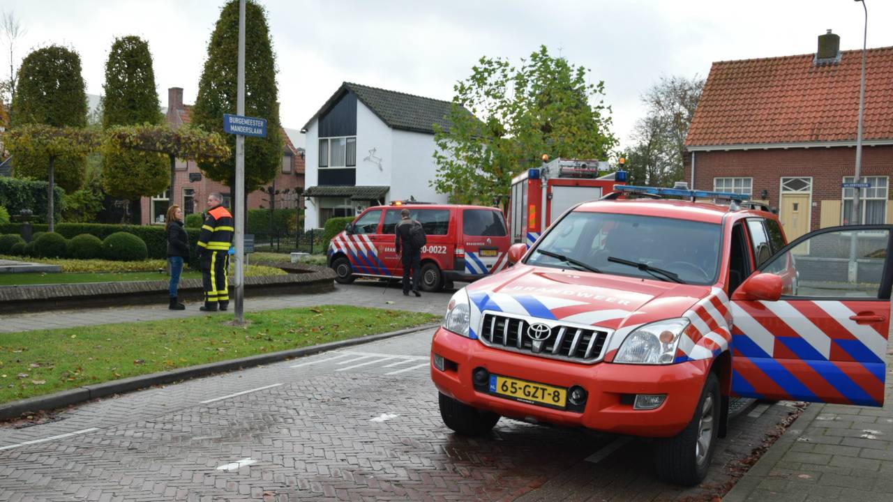 Foto: Alexander Vingerhoeds/Obscura Foto