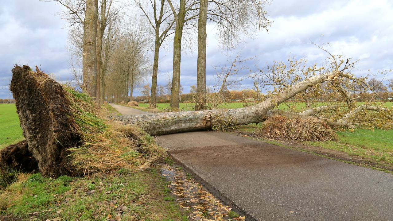 Ga naar slide 2