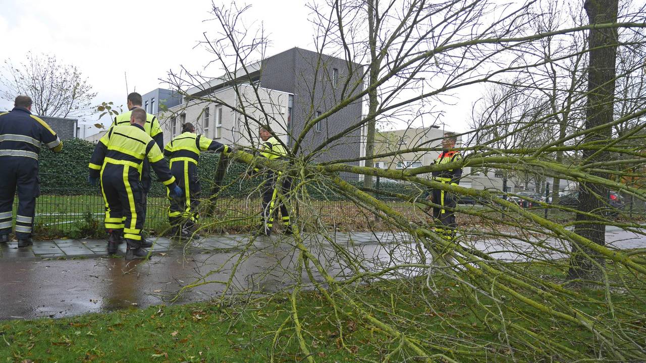 Ga naar slide 3