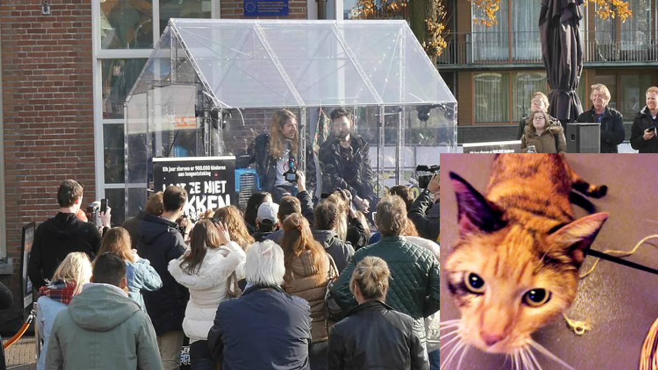 Domien Verschuuren neemt plaats in Glazen Huis. (Foto: SQ Vision / Perry Roovers)