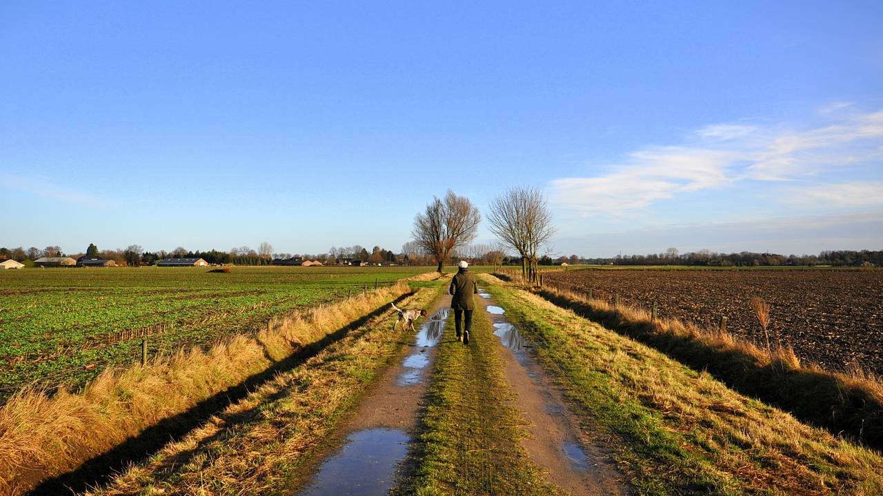 Tweede kerstdag. (foto: Ben Saanen)