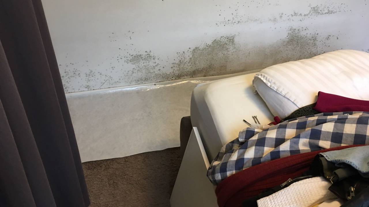 Schimmel tegen de slaapkamermuur van Frank en Liony.