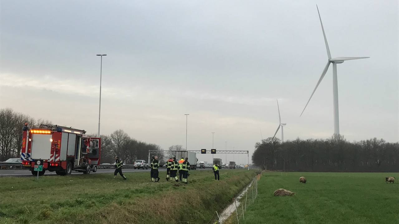 Foto: Sander van Gils (SQ Vision).