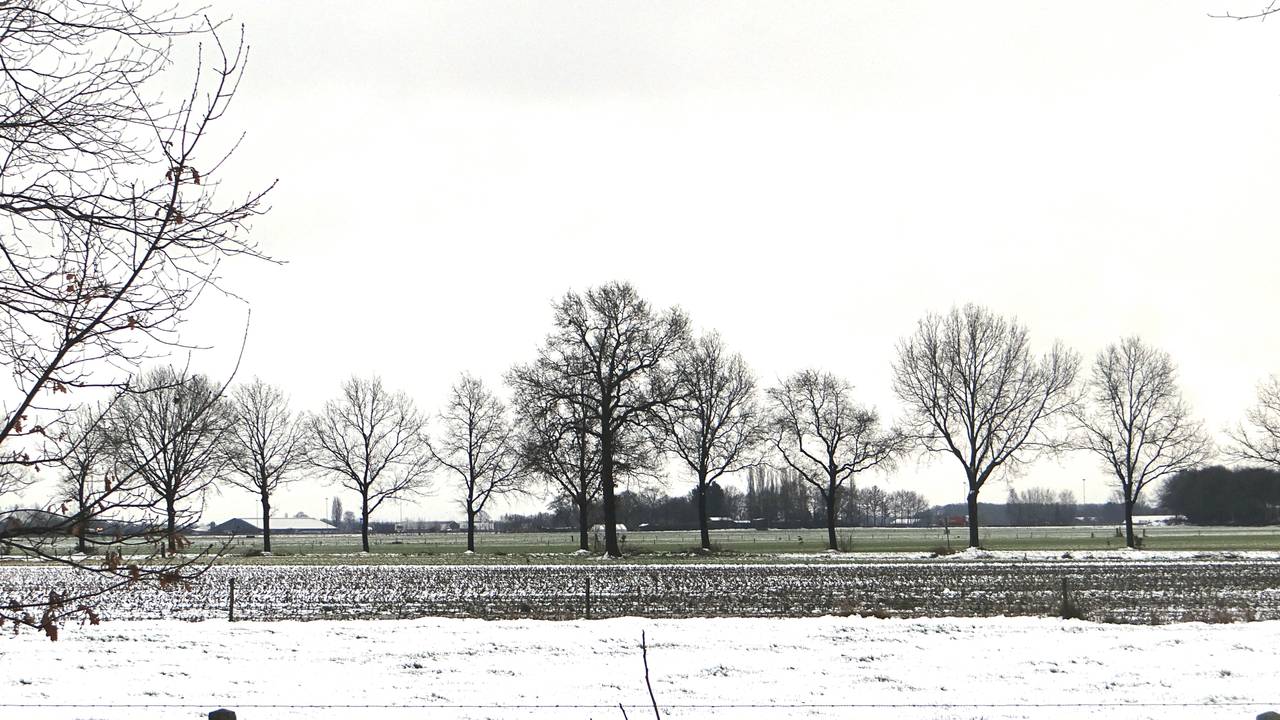 Ga naar slide 10