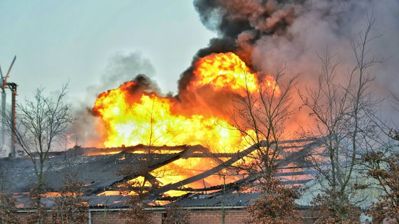 Foto: Jeroen Stuve (Persburo Stuve fotografie)