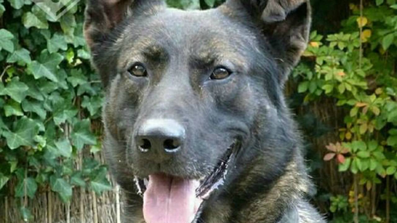 Archieffoto: Politie