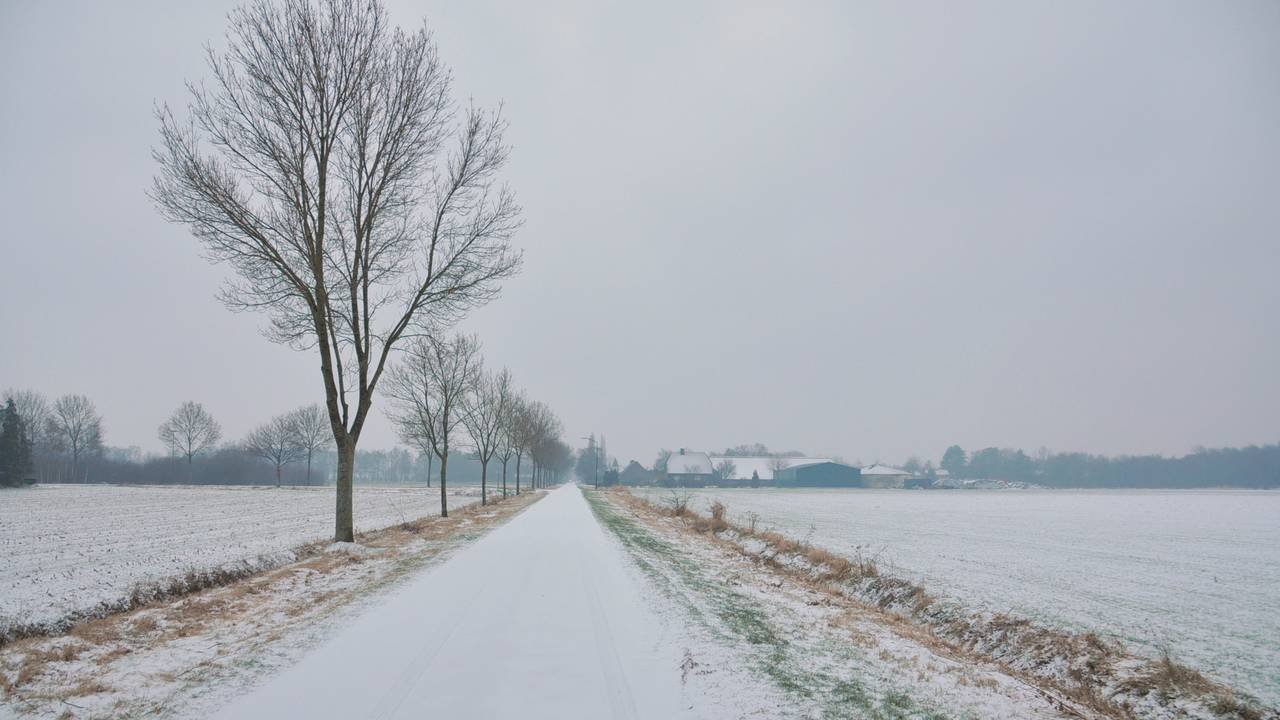 Het kleurde afgelopen zaterdag ook al wit, zoals hier in Budel. (Foto: Ben Saanen)