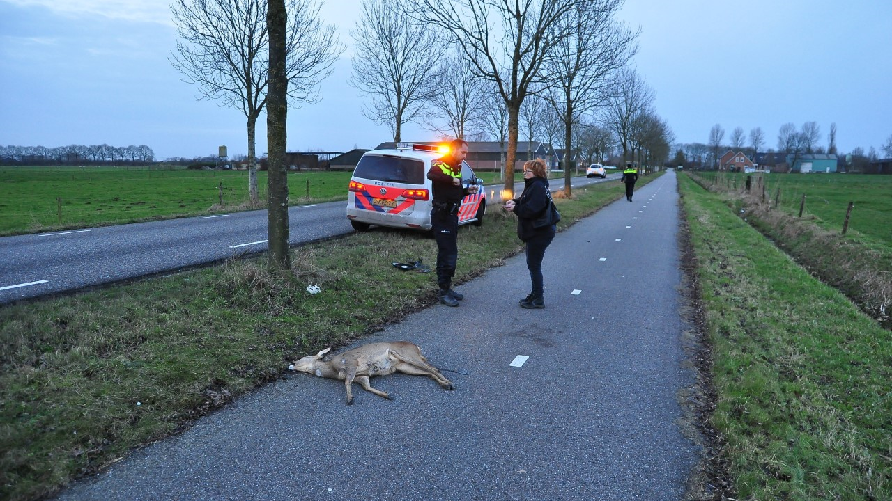 Foto: Marvin Doreleijers/FPMB