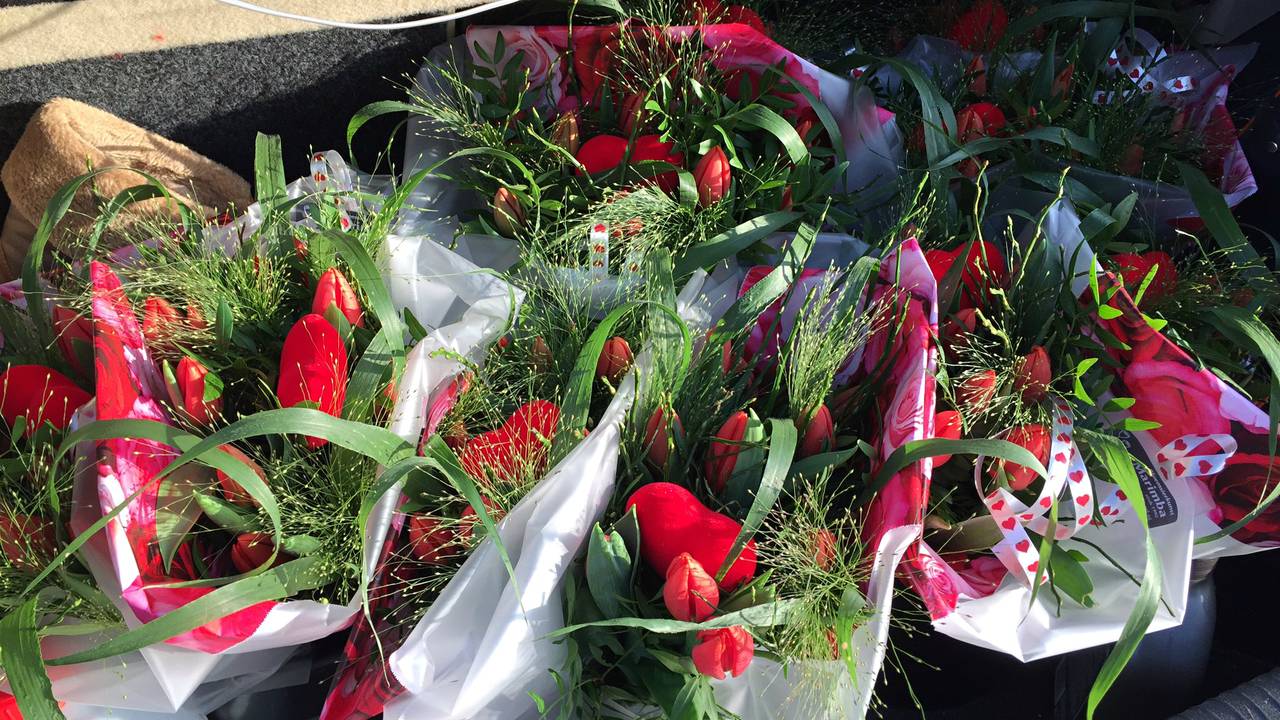 Foto: Birgit Verhoeven