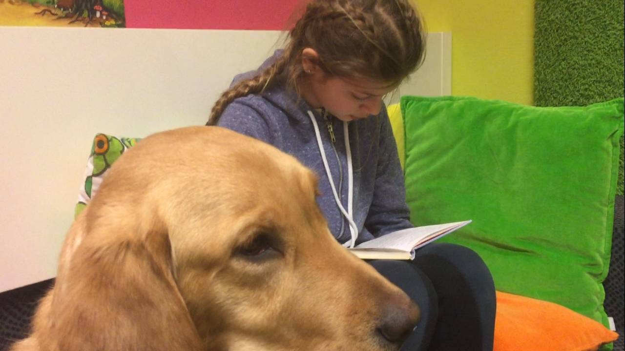 Molly luistert de luisterhond