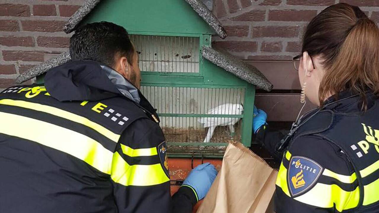 Foto: politie/Facebook