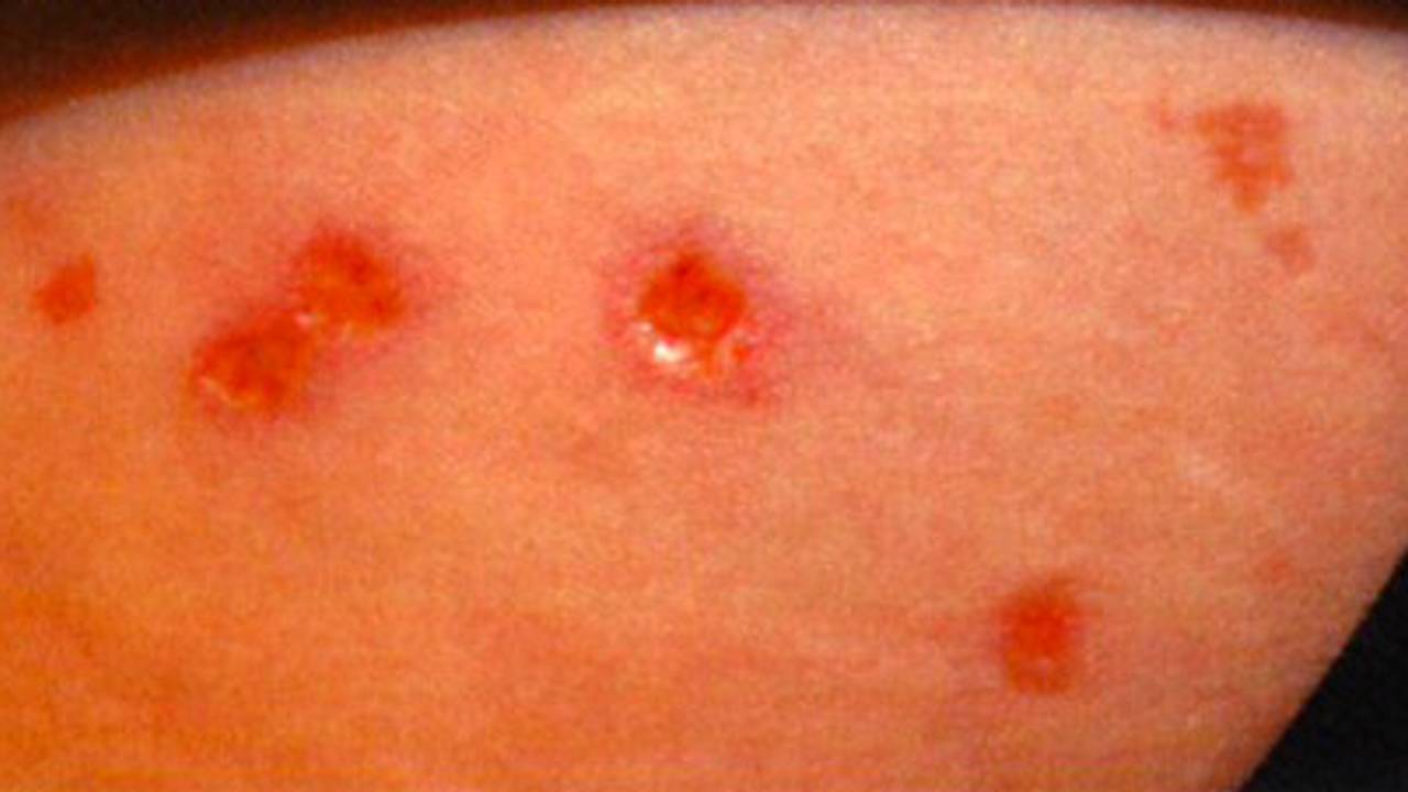 Foto: Bureau Brabant