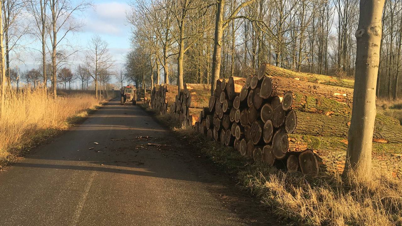 Het gestolen hout. (Foto: Boeckel Bosbouw)