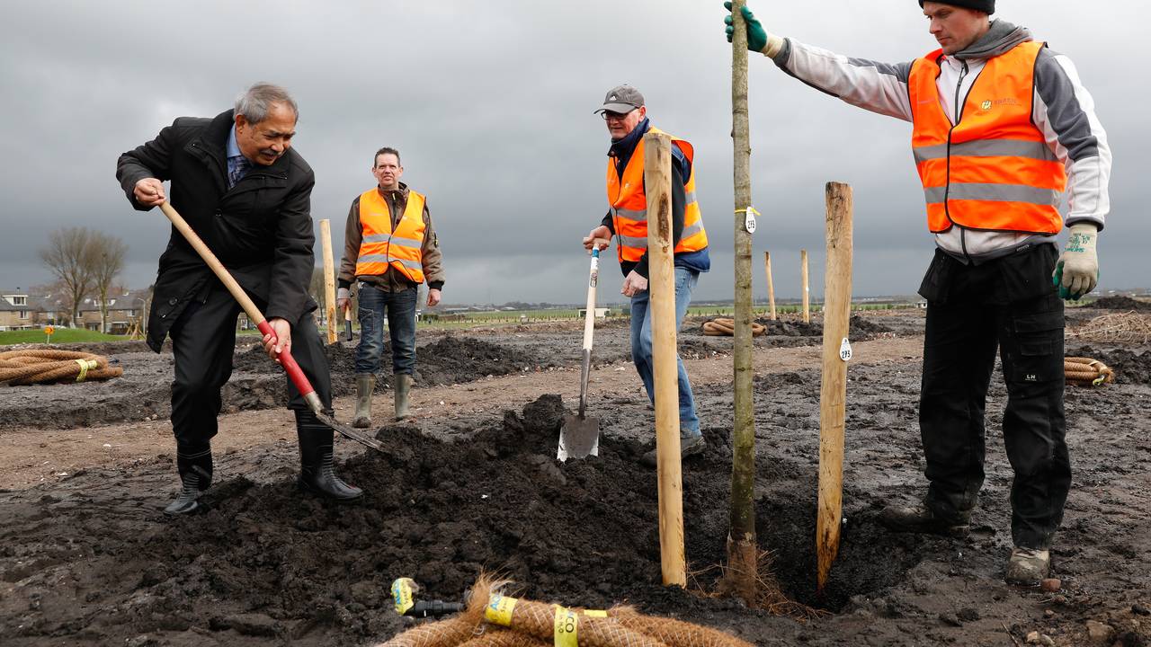 De eerste bomen gaan de grond in (foto: ANP)