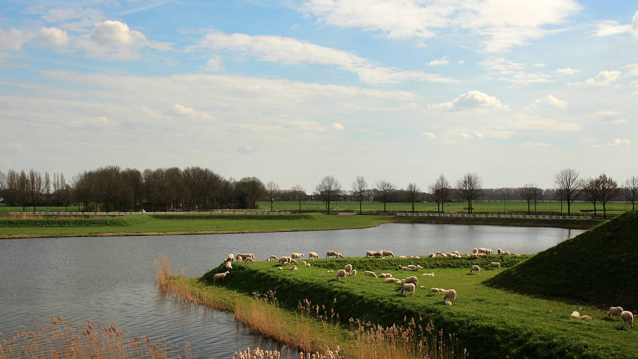 Ga naar slide 8