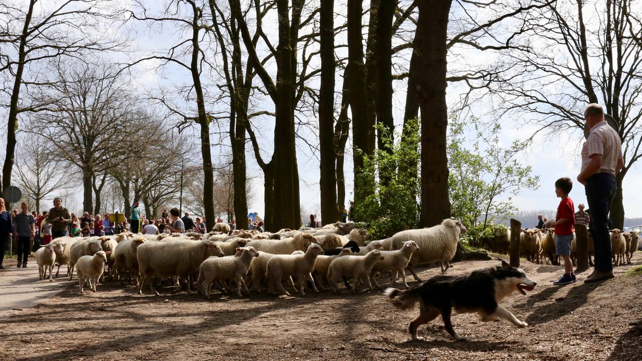 Ga naar slide 9