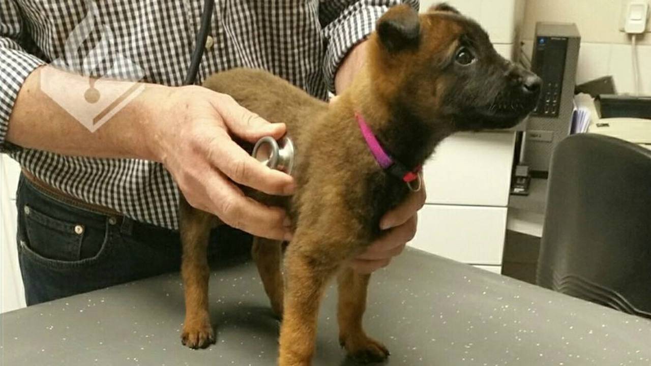 Foto: Politie Eindhoven