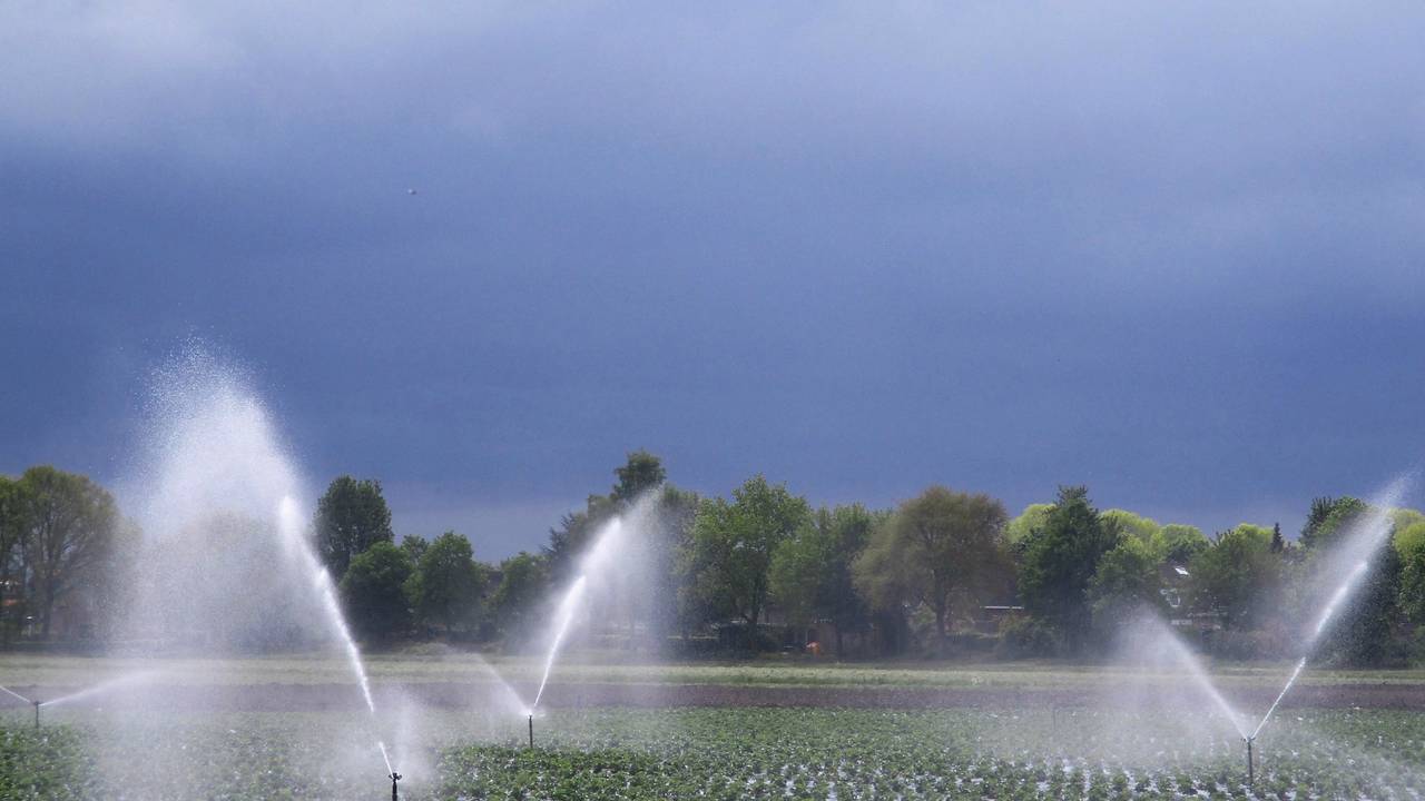 Er mag tijdelijk beregend worden. (Foto: Joop van der Kaa)