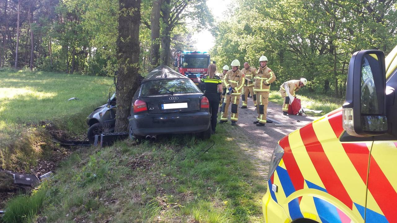 Foto: Harm van Leuken