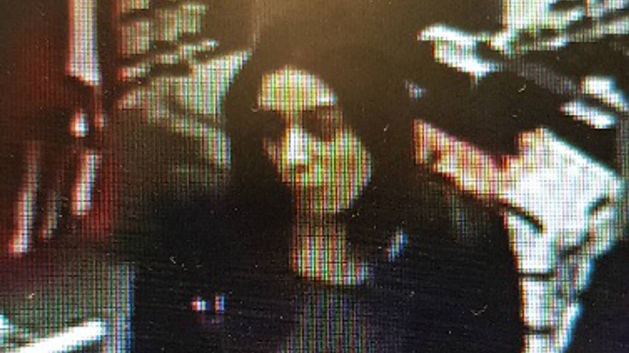 De verdachte vrouw (foto: politie)