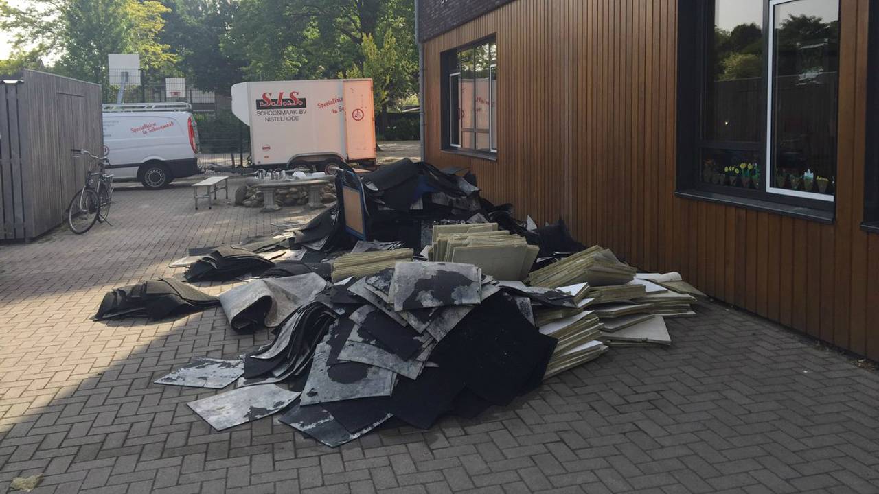 Foto: Alice van der Plas