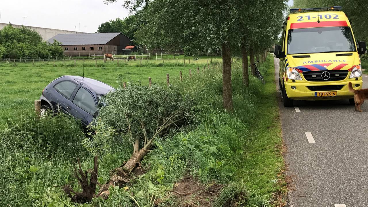 Foto: Bart Meesters