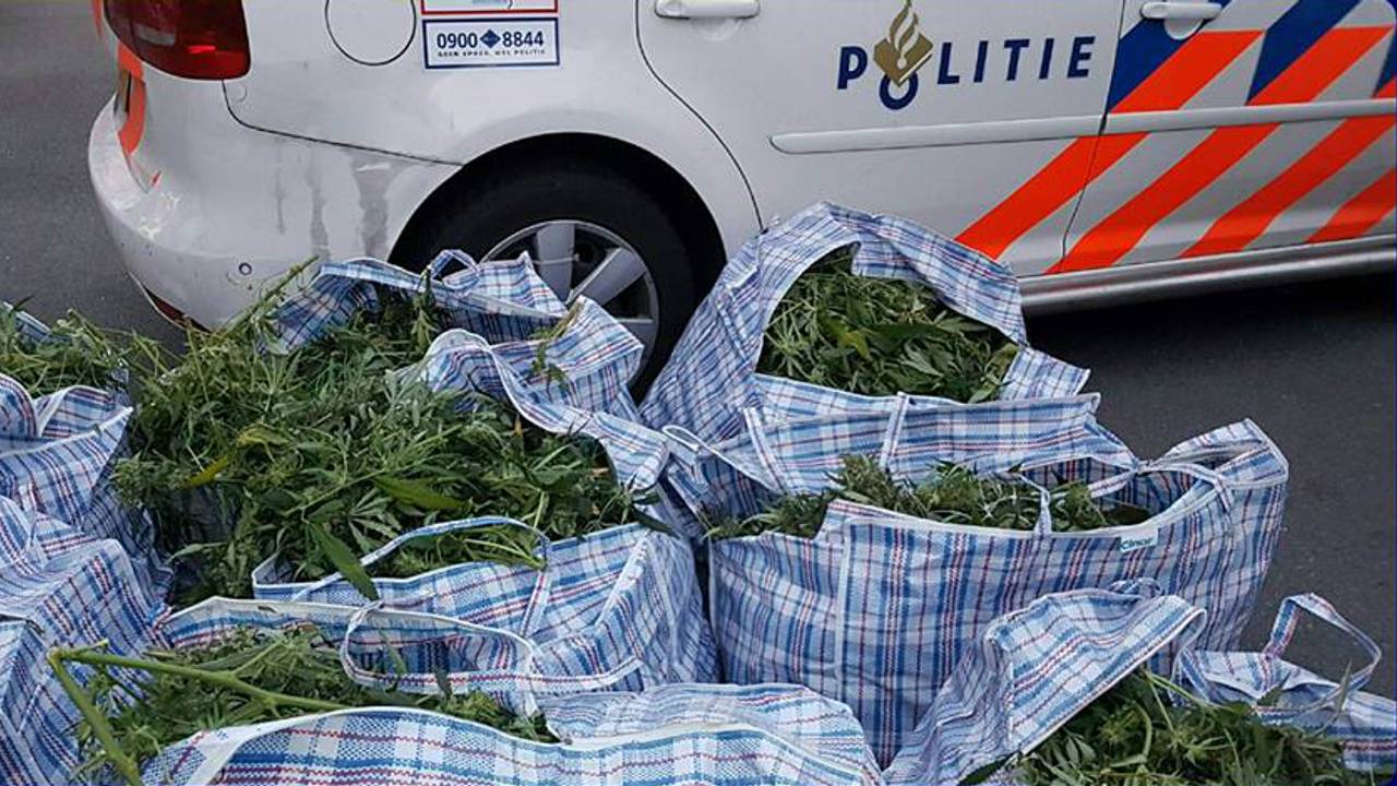 In een bestelbus werden tien 'bigshoppers' met hennepplanten ontdekt. (Foto: Facebook politie Weerijs)