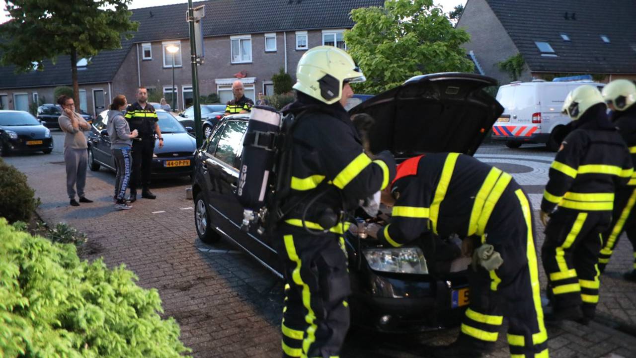Foto: FPMB, Erik Haverhals