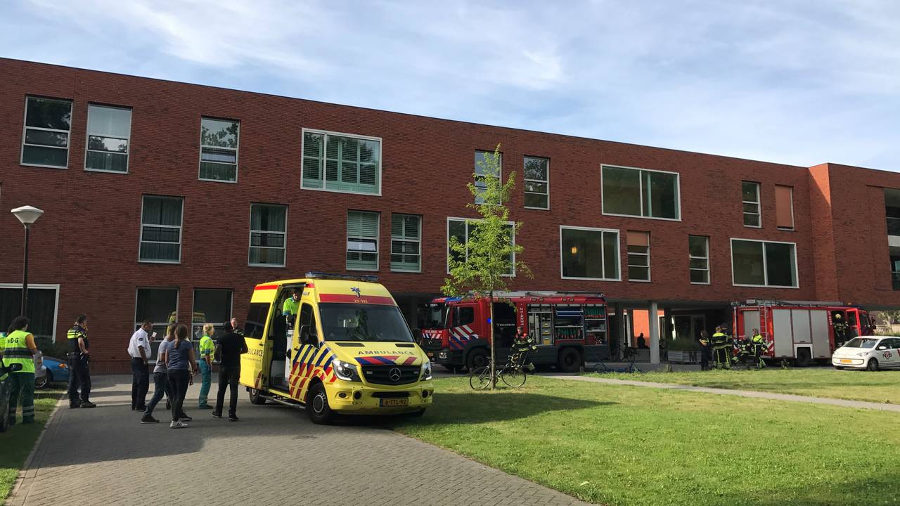 Foto: Bart Meesters/Meesters Multi Media