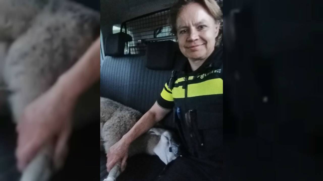 Foto: politie