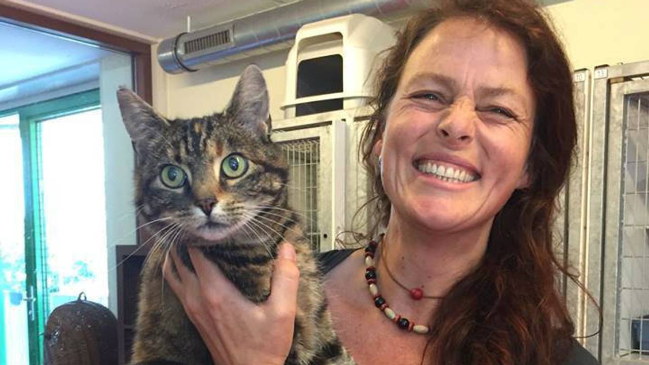 De kat herkende haar vrouwtje meteen (foto: Facebook Dierenopvang Amsterdam)