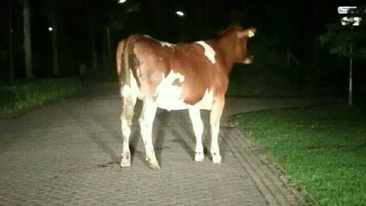 Ga naar slide 2