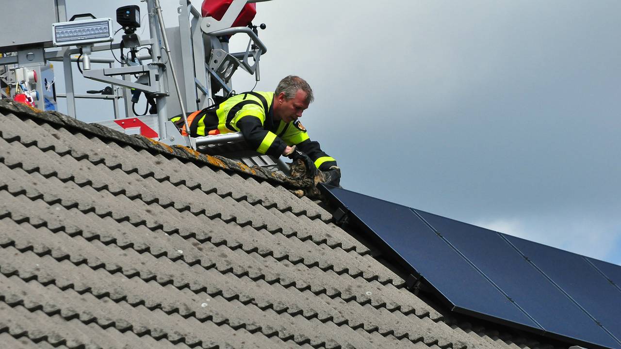 Foto: FPMB / Marvin Doreleijers
