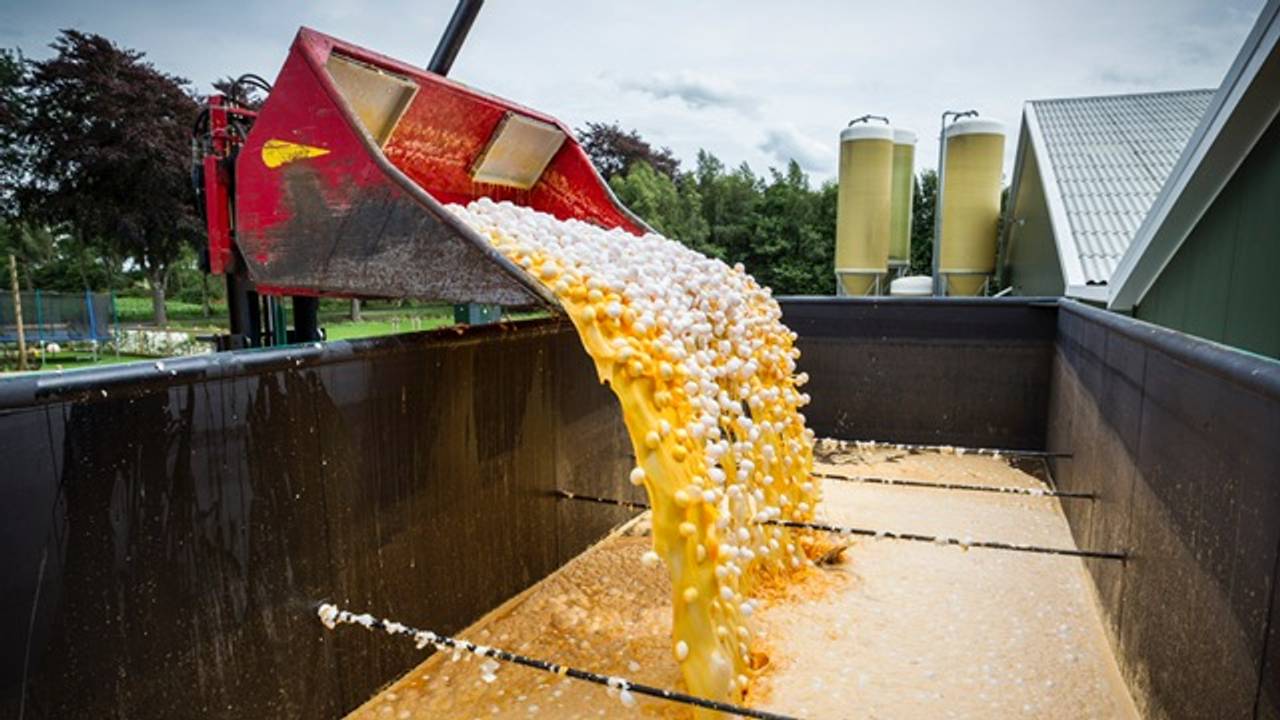 Eieren worden verwerkt bij Rendac (foto: ANP).