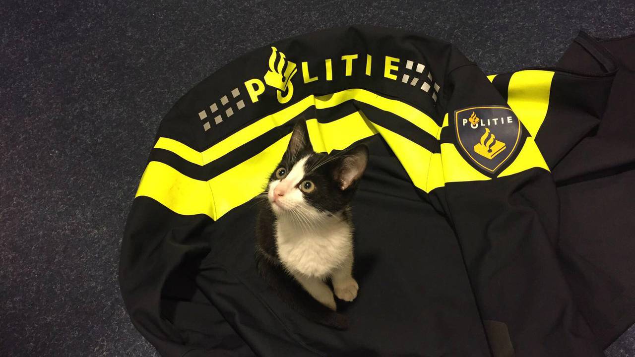 Foto: Facebookpagina politie Geldrop-Mierlo, Nuenen, Son en Breugel