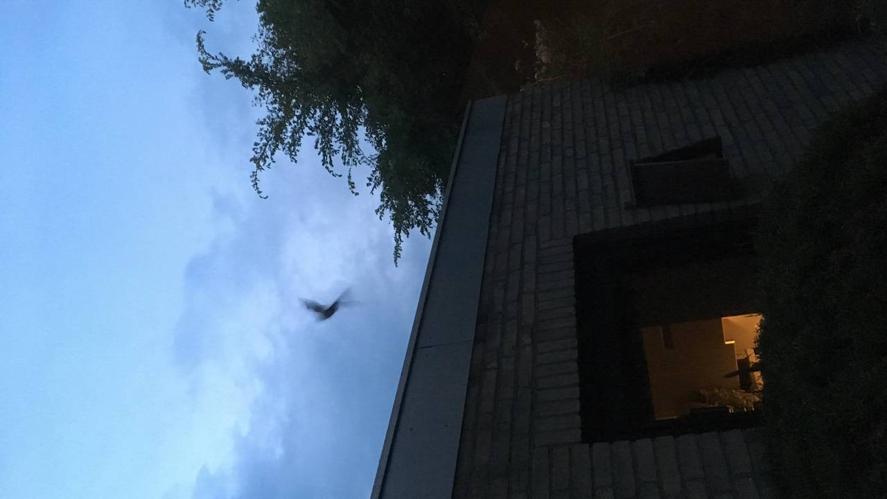 Ga naar slide 4