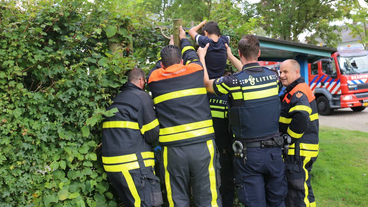 Foto: Alexander Vingerhoeds