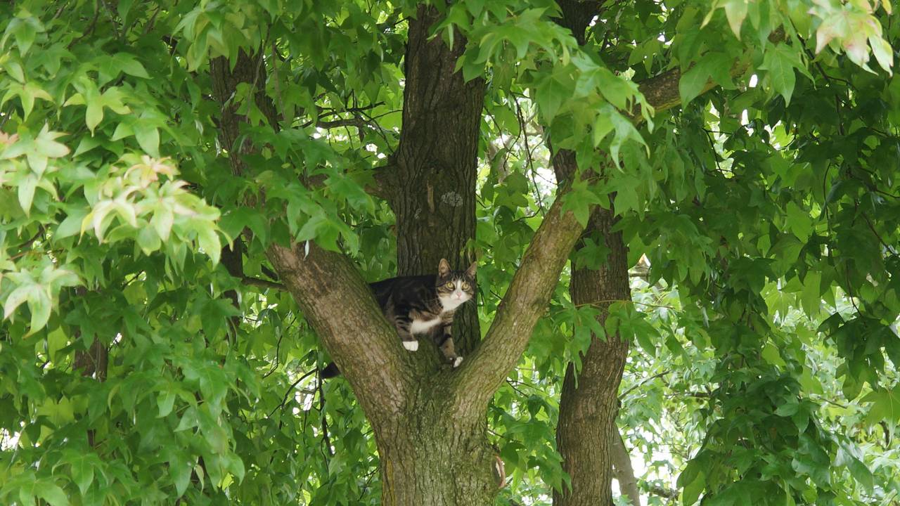 Foto: Martijn van Bijnen/FPMB