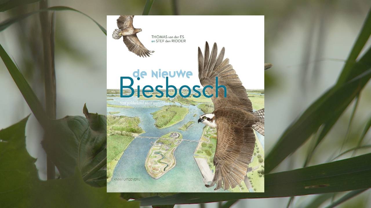 Ga naar slide 1