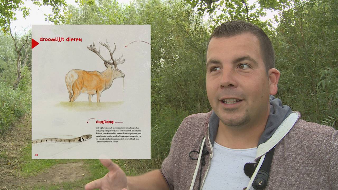 Ga naar slide 2