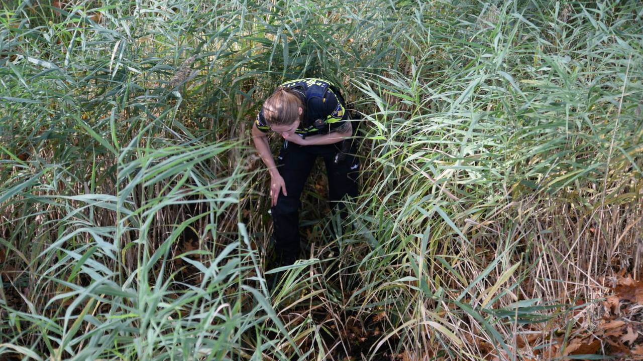 De politie zoch onder anderen in de sloot naar sporen. (Foto: Jeroen Stuve)
